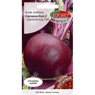 Burak Czerwona Kula 2 NASIONA OTOCZKOWANE